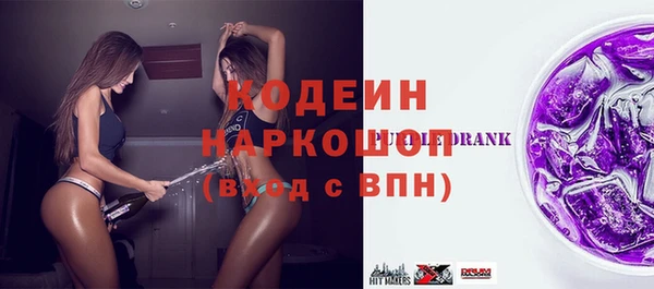 гашик Арсеньев