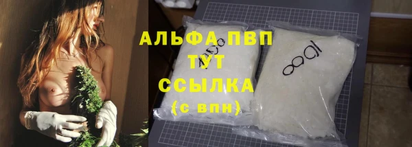 гашик Арсеньев
