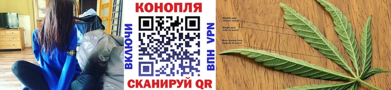 Канабис план  Прохладный 